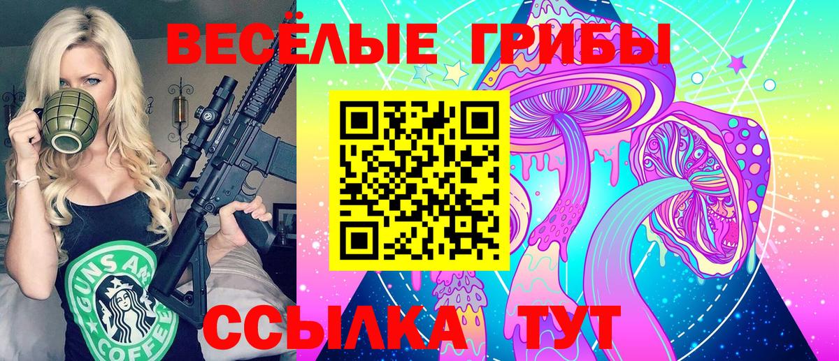 Галлюциногенные грибы Cubensis  Вход с VPN  Псилоцибиновые грибы мухоморы  закладка  Саяногорск 